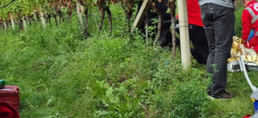 Dramma nel vigneto, operaio 55enne colpito da un malore: inutili i tentativi di salvarlo