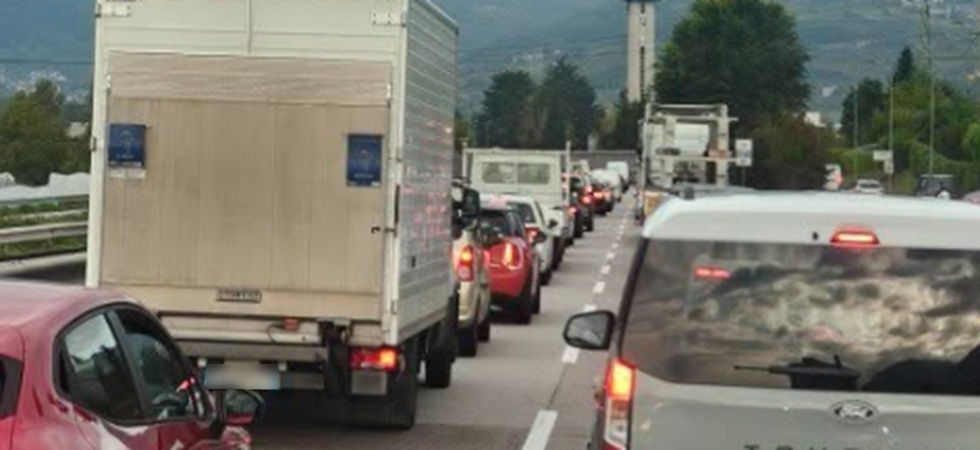 "Sfalcio dell'erba alle 7 di mattina, bisogna essere dei geni"