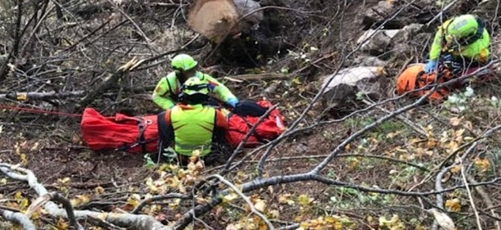 Travolto da un tronco mentre lavora nel bosco, 64enne elitrasportato d'urgenza all'ospedale