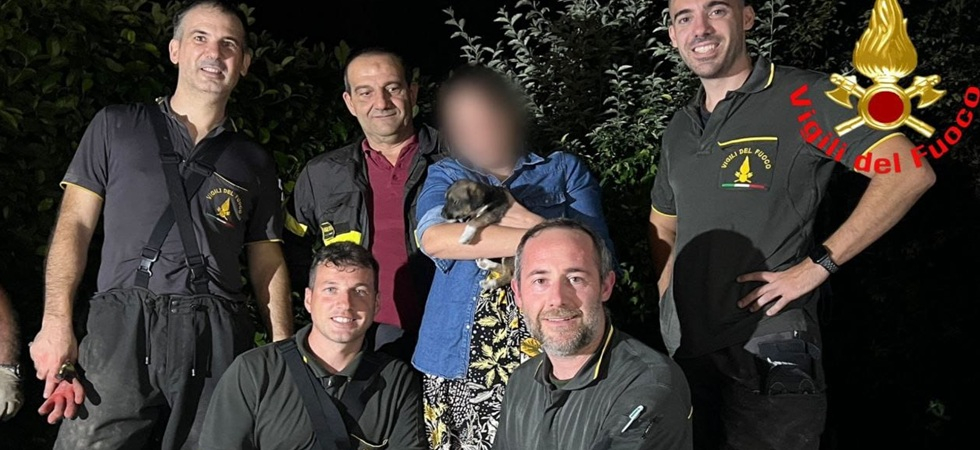 Un cucciolo è rimasto intrappolato in un tubo di ventilazione di un caminetto