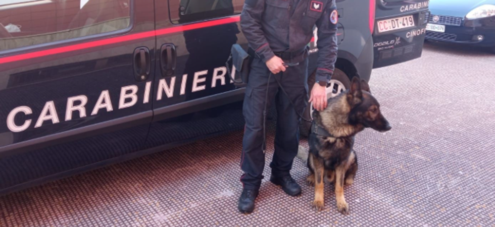 Il cane antidroga in stazione punta un giovane che getta a terra l'hashish