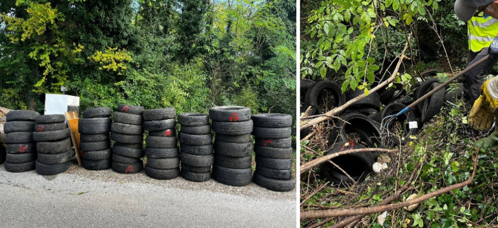 Una discarica di pneumatici abbandonati nella boscaglia della riserva naturale