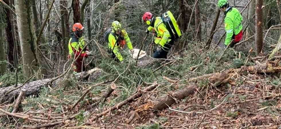 Dramma nel bosco, si sente male mentre taglia la legna: Antonio Crestani è morto davanti agli occhi del fratello