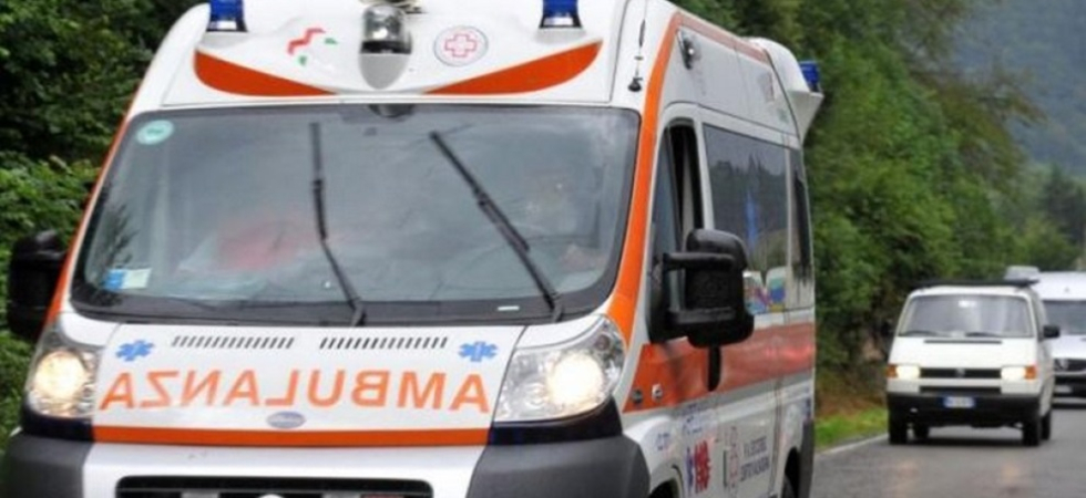 Paura per una 29enne: prova a dividere due cani che si azzuffano e resta ferita, portata all'ospedale