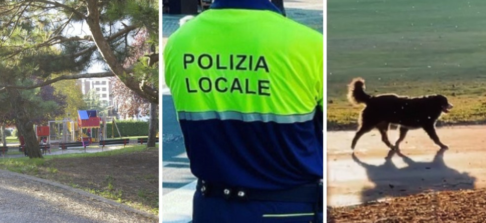 Cani senza guinzaglio al parco in città, dopo le segnalazioni interviene la polizia locale