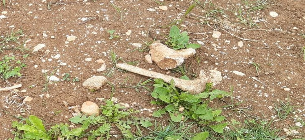 Macabro ritrovamento in un cimitero: resti di ossa umane trovate sul prato