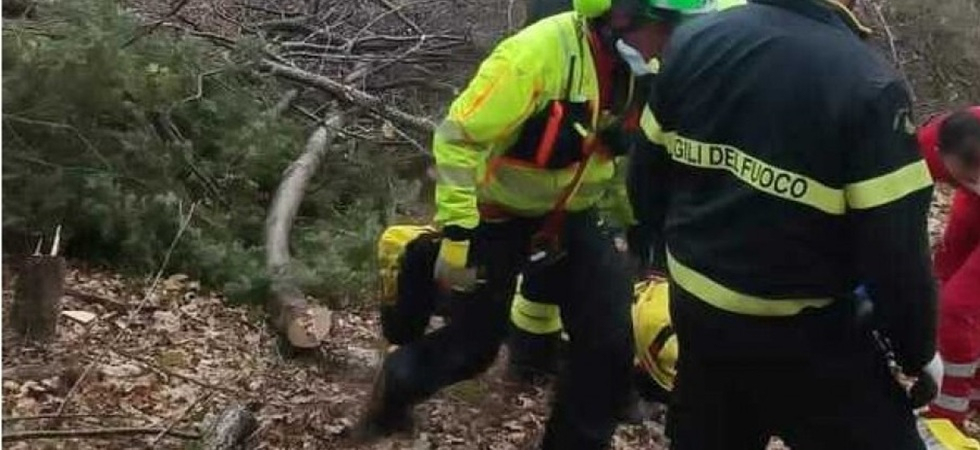 Rimane schiacciato da un tronco mentre taglia delle piante, momenti di paura per un 70enne: in azione l'elisoccorso