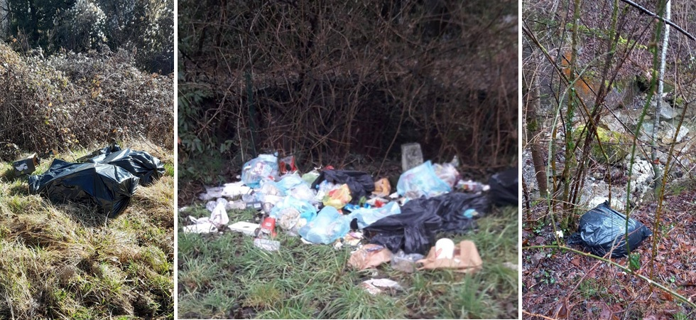 Rifiuti abbandonati lungo la strada, nel bosco o nel fiume: 22 sanzioni emesse grazie alle immagini delle fototrappole