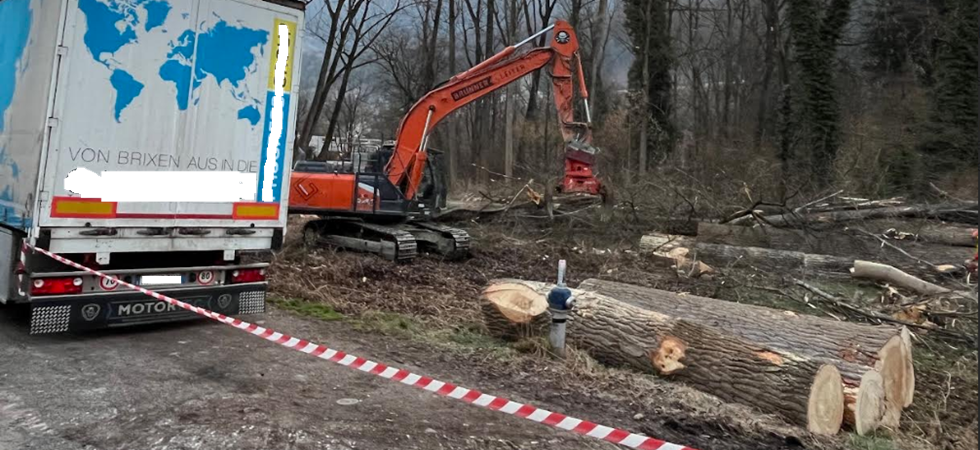 Distruzione del bosco ripariale della Valle Isarco, arriva lo stop del Tar