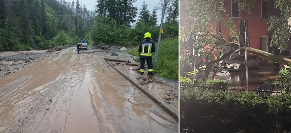 Foto a destra Sei di Trento se Foto a destra Sei di Trento se