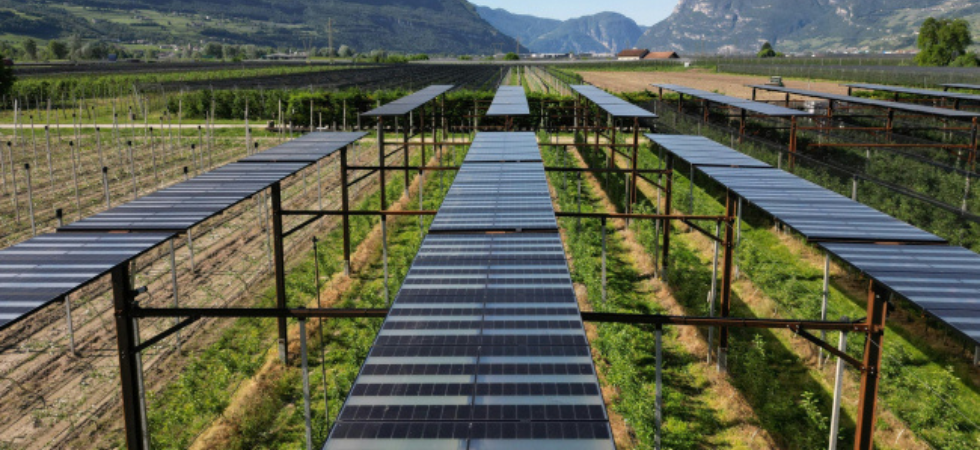 (foto archivio - Eurac Research) (foto archivio - Eurac Research)