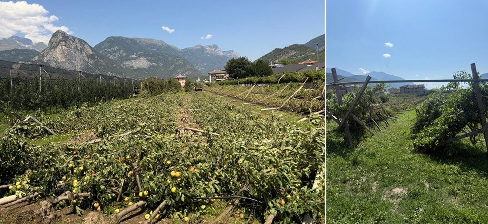 Coltivazioni rase al suolo dalle raffiche di vento: Colpiti 100 ettari per un valore di 2 milioni