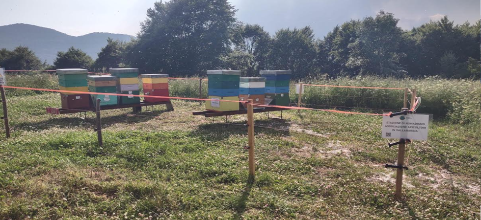 Colpo in montagna, rubato l'elettrificatore e la batteria che alimentavano il recinto di protezione delle api