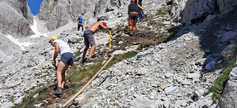 L'attacco di Guglielmi alla Sat
