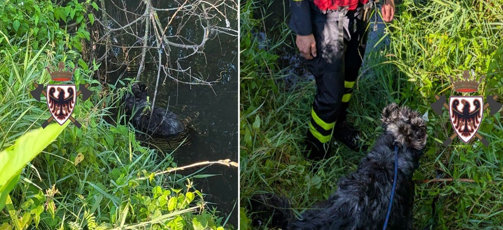 Finisce nel lago e stremato non riesce a raggiungere la riva
