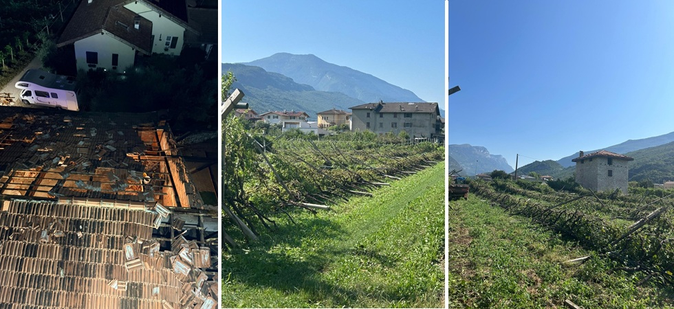 Fortissime raffiche di vento flagellano la valle: vigne e alberi da frutto abbattuti e due tetti divelti