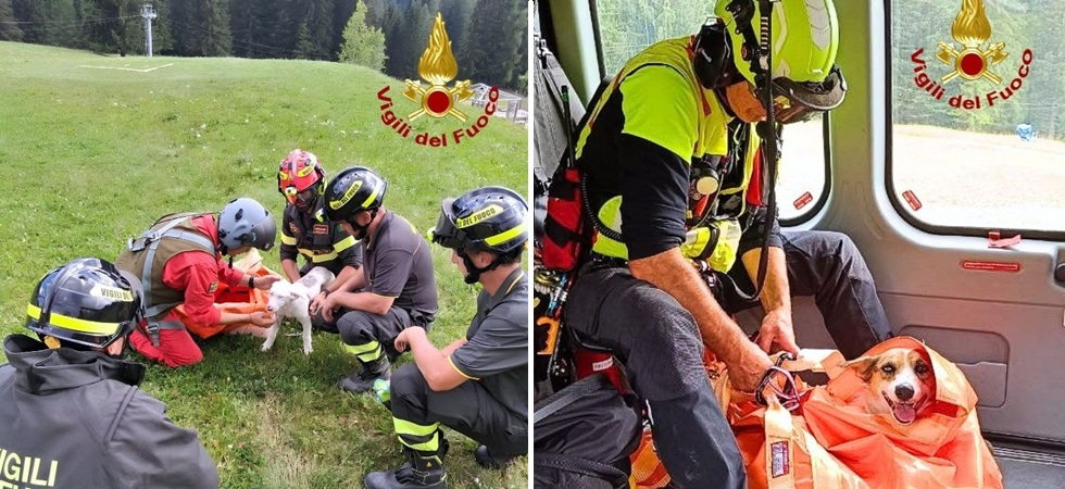 Dispersi da quattro giorni in montagna, mamma Kloe e il piccolo Sambuco vengono salvati dai vigili del fuoco con un