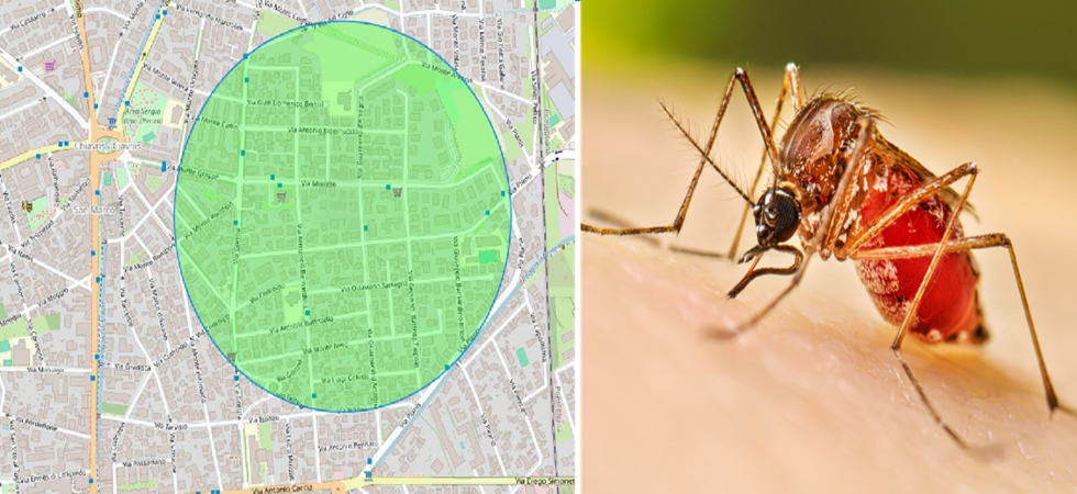 Caso di Dengue, scattano le procedure di disinfestazione e prevenzione