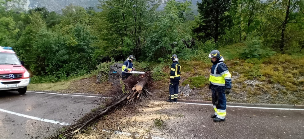 Maltempo, un albero crolla sulla Gardesana e ostruisce la viabilità