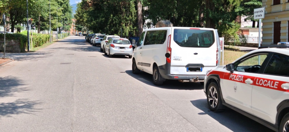 Lascia i cagnolini nel furgone parcheggiato al sole e con i finestrini chiusi per fare una commissione
