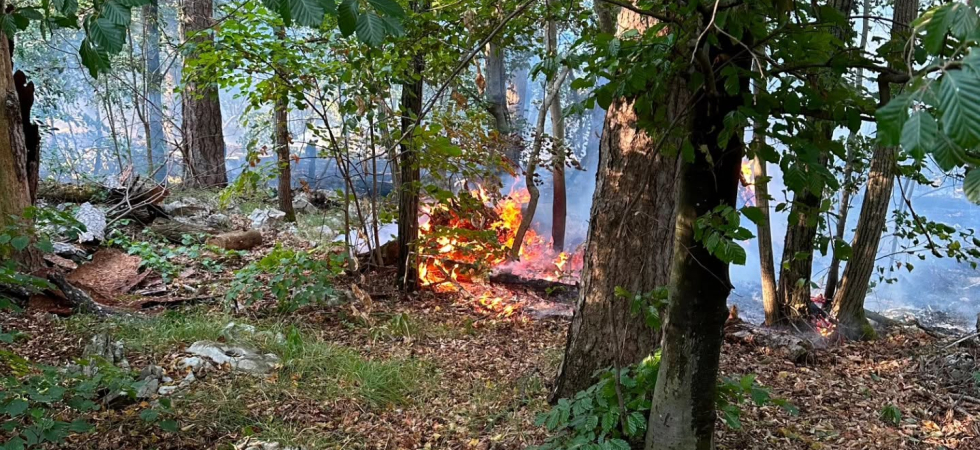 Negli ultimi mesi 379 incendi