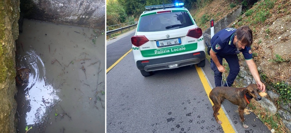 Finisce nel canale fangoso e non riesce a uscire, cane bloccato abbaia e un passante lancia l'allarme: in azione i poliziotti