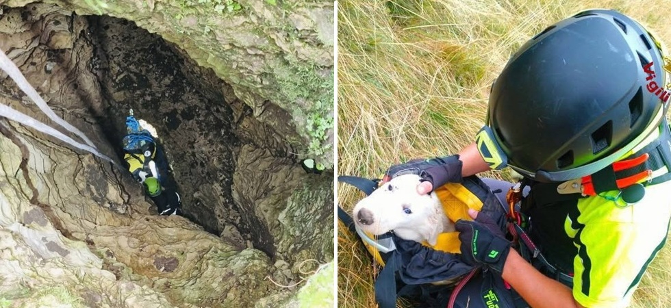 Cucciolo di maremmano precipita in una voragine e resta bloccato a 10 metri di profondità: salvato dai vigili del fuoco