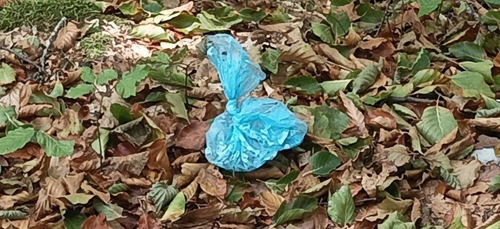 Mettere nel sacchetto di plastica la cacca del cane per poi buttarlo nel bosco è da idioti''