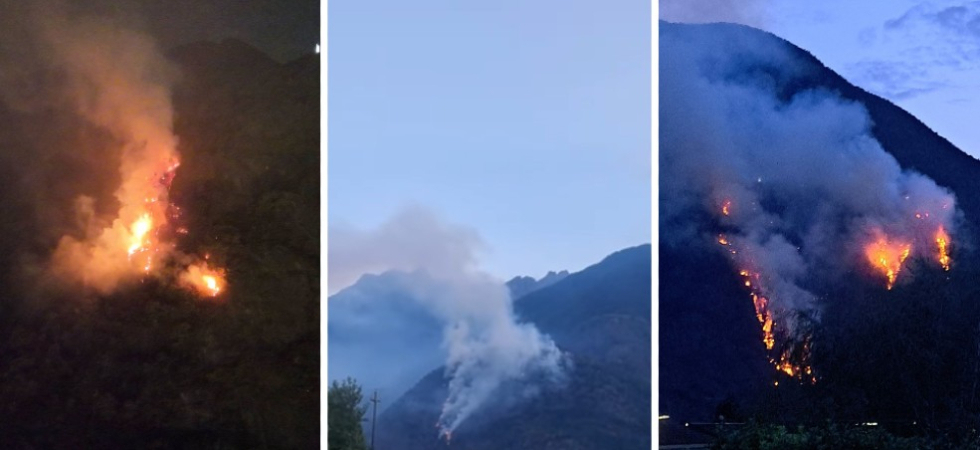 Le fiamme le grosse colonne di fumo visibili da chilometri: vasto incendio nel bosco e canadair in azione