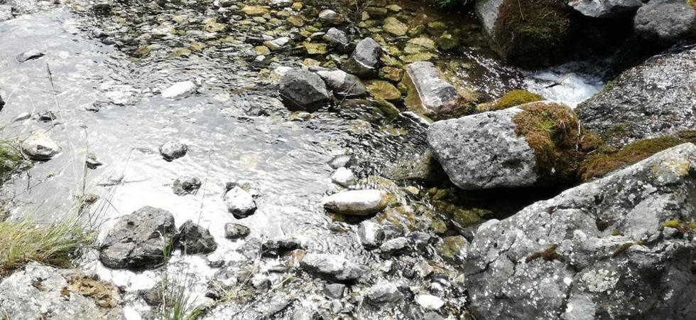 Crisi idrica, i pescatori contro la riduzione del deflusso minimo nei corsi d'acqua