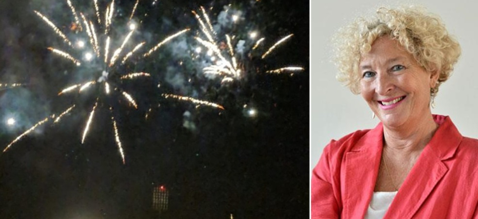 Basta fuochi d'artificio: hanno un impatto ambientale, acustico e sulla fauna