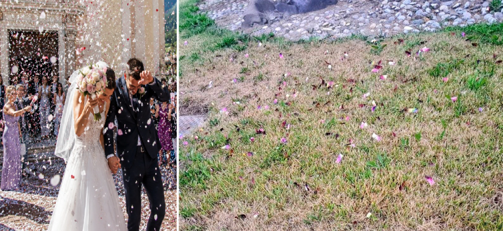 Foto a sinistra AI e a destra del comune di Tesero Che gioia vedere cortei di sposi attraversare i nostri paesi poi però cartelli