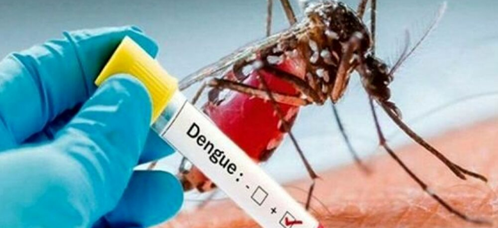 Caso di Dengue in città, arriva la conferma dell'Azienda Sanitaria
