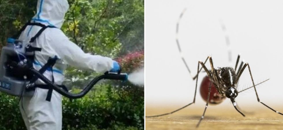Caso di Dengue in montagna, conclusa la disinfestazione nel centro abitato