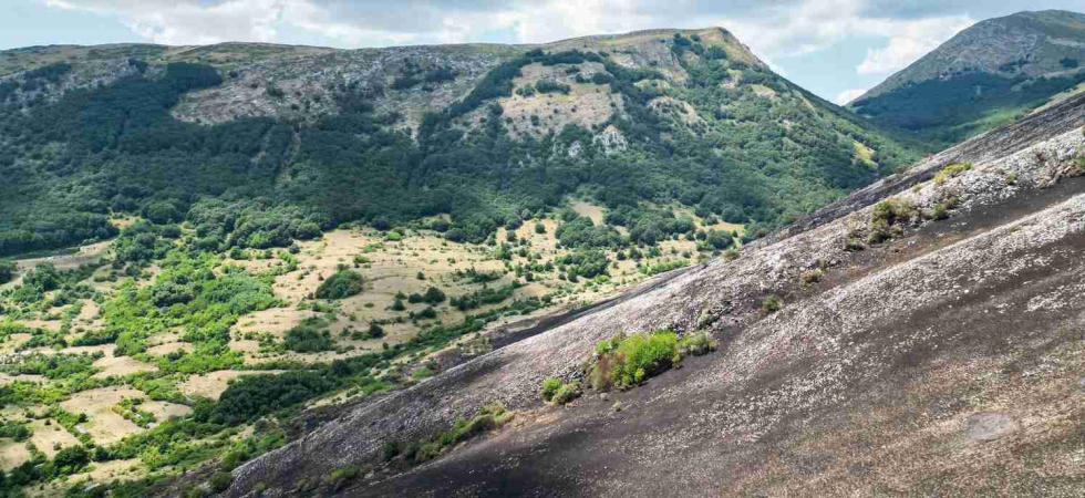 Roghi sull'Altopiano delle Rocche, Salviamo l'orso: La prevenzione non comincia quando si vede il fumo