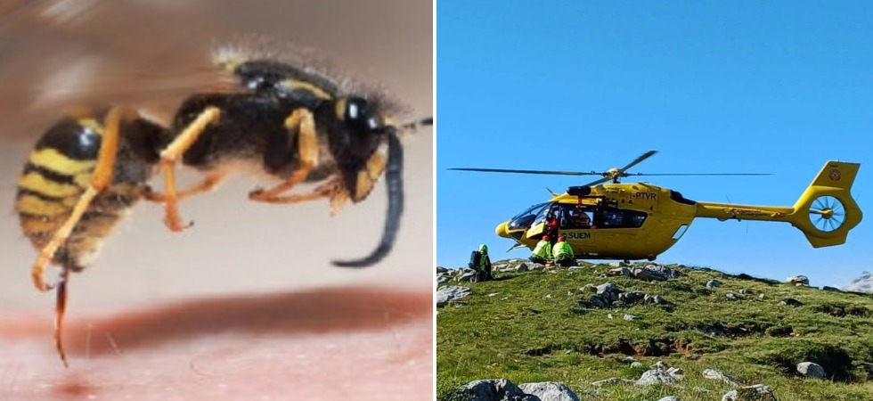 Punto dalle vespe durante un'escursione, 33enne si sente male: momenti di paura, in azione l'elisoccorso