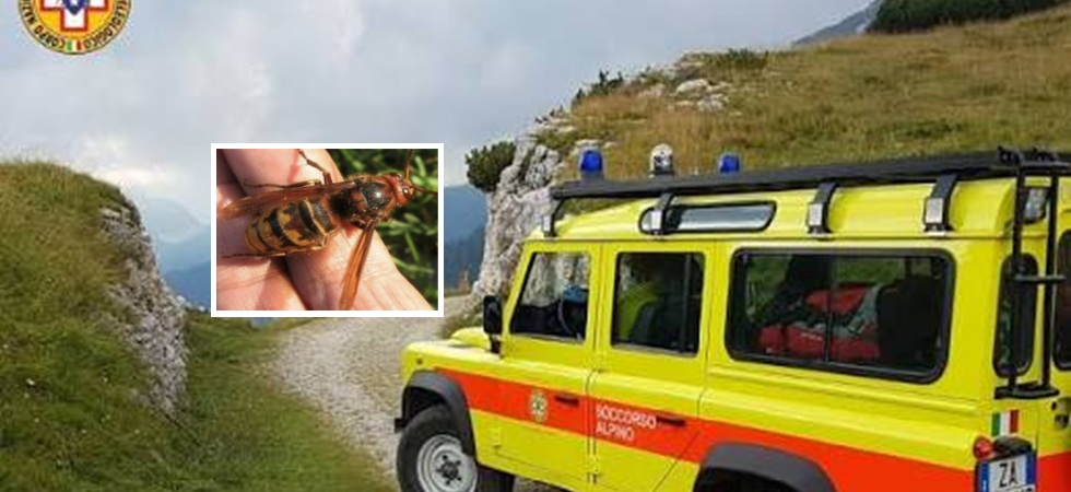 Reazione allergica ad una puntura d'insetto: una 26enne soccorsa in riva al lago e trasportata in ospedale