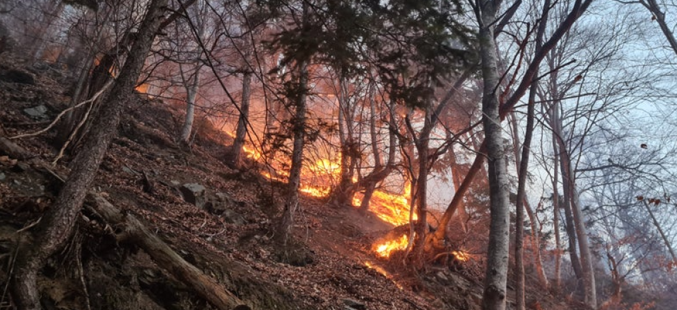 Massime altissime e tempo asciutto: aumenta il rischio incendi boschivi