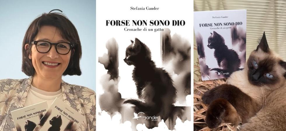 "Forse non sono Dio", il libro su un gattino che ha conquistato il mondo