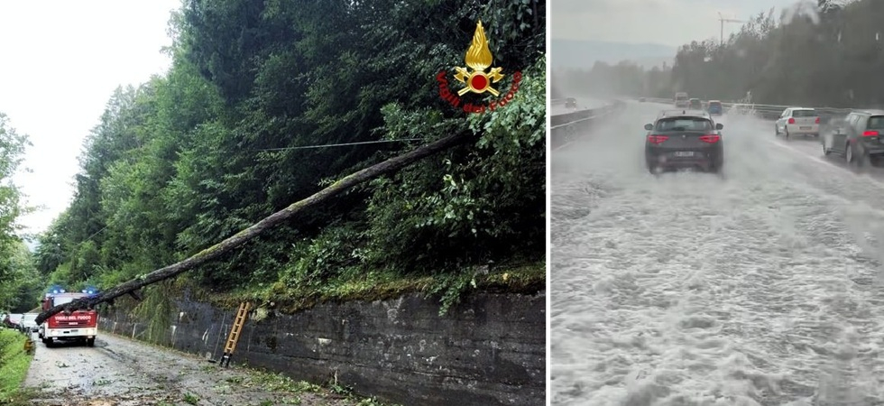 Maltempo, allagamenti e alberi abbattuti