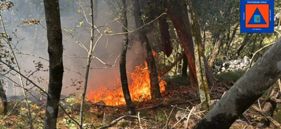 Incendio sul Carso, 25 ettari divorati dalle fiamme