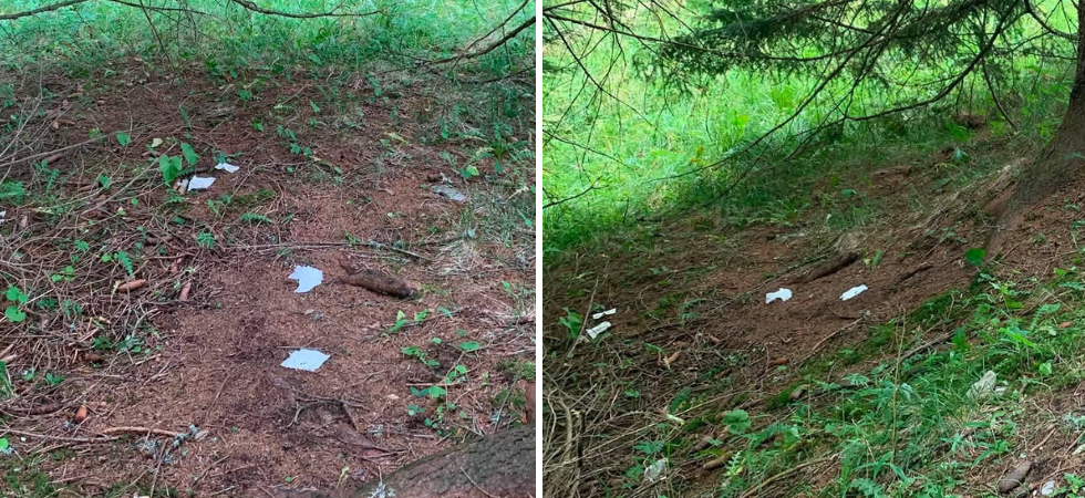 La gente butta nel bosco i fazzoletti sporchi, ma quelli sono rifiuti: per biodegradarsi ci mettono mesi