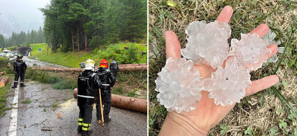 Enormi chicchi di grandine, alberi abbattuti dal vento e crollo delle temperature: il maltempo sferza il Trentino