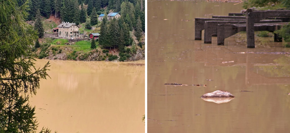 "Una ferita al cuore", due vacche trascinate a valle dal torrente in piena