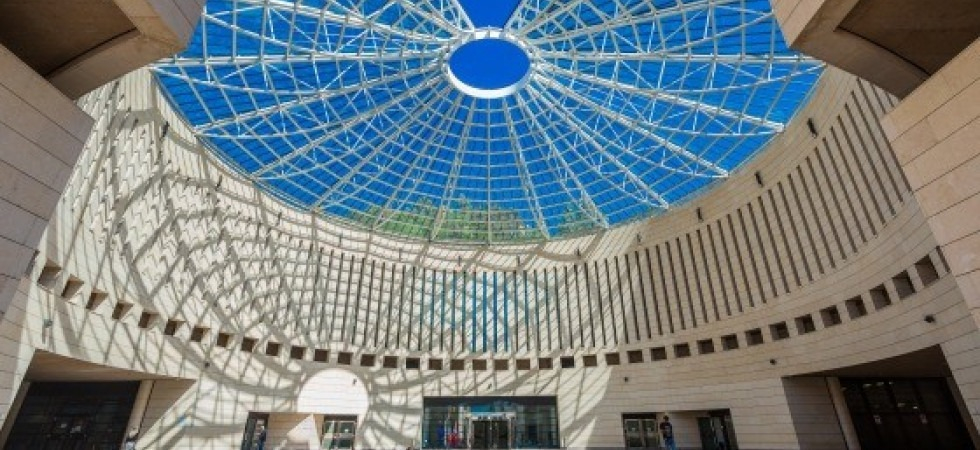 Mart, visitatori in calo anche nel 2025 e il 43,5% è entrato gratuitamente