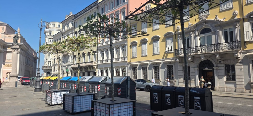 "Gli alberelli sono troppo piccoli e pure vicino ai bidoni", le nuove "oasi d'ombra" in centro contro il caldo per ora non