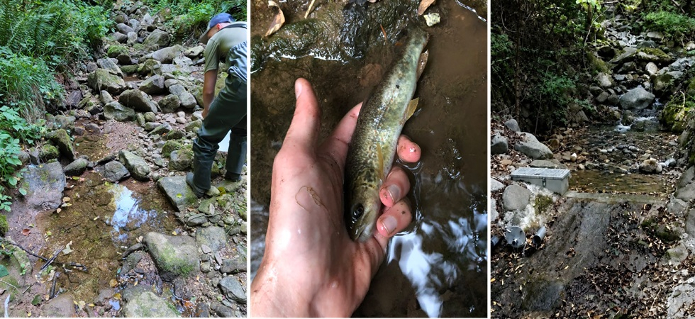 Siccità e acqua contesa, nei torrenti basta una pompa 'illegale' per mandare in crisi l’ecosistema