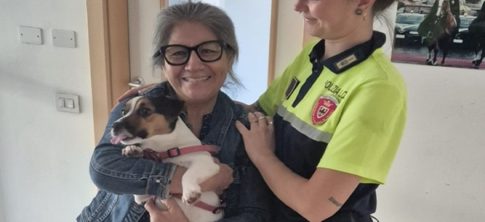 Viene investito da un'auto e il suo cagnolino fugge spaventato e sparisce