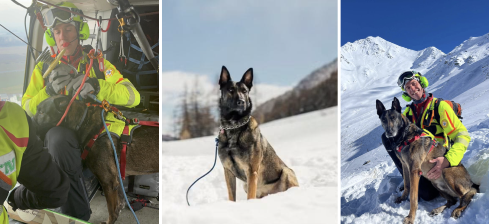 Sei stato un compagno fedele, un collega, un amico silenzioso''