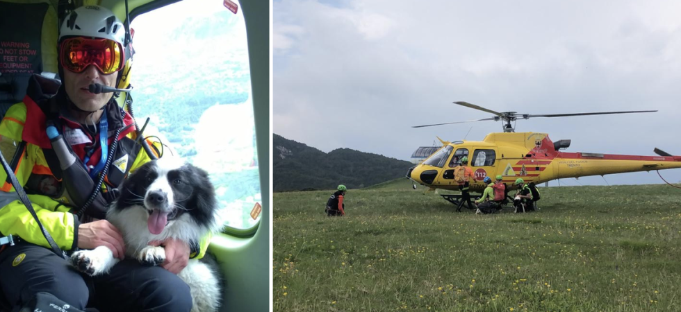 Addio al cane Laspo, per dieci anni al fianco del soccorso alpino